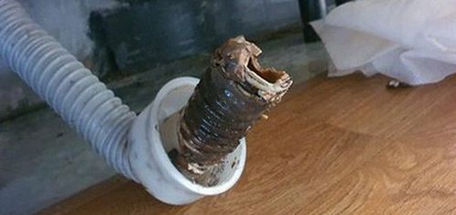 일원동 하수구막힘 아파트 욕실과 변기 배수 상태를 확인하는 현장 점검